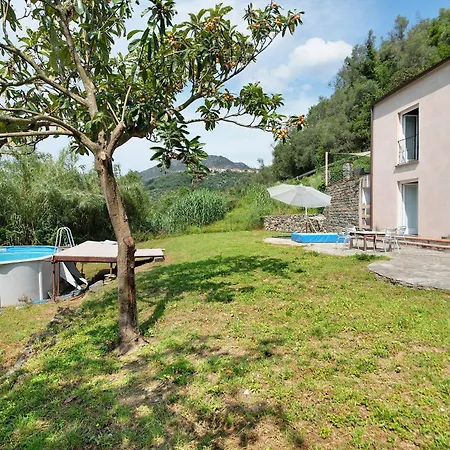 Nespolo Levanto